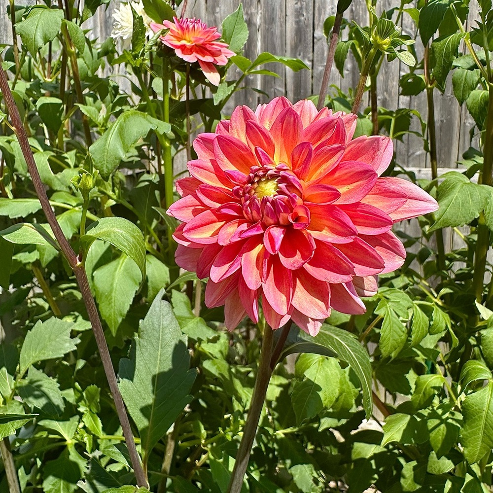 ✨ Meet your Posher, Kathleen ✨